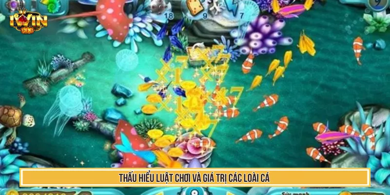 Mẹo Bắn Cá Hay Giúp Bet Thủ Tăng Tỷ Lệ Thắng Mỗi Phiên 2 Thấu hiểu luật chơi và giá trị các loài cá